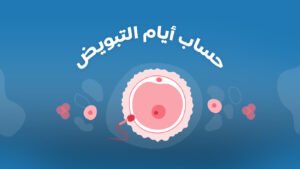 كيفية حساب أيام التبويض والخصوبة