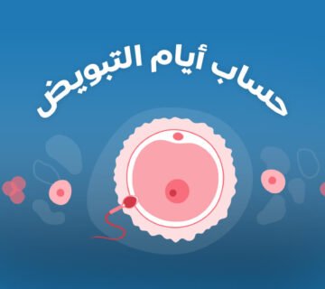 كيفية حساب أيام التبويض والخصوبة