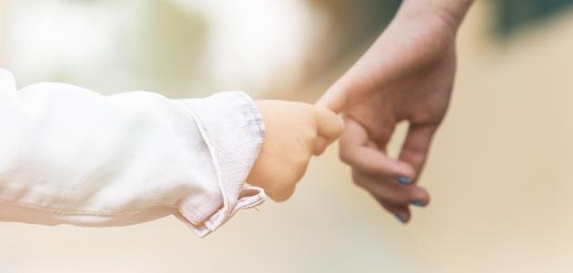 التربية الأخلاقية