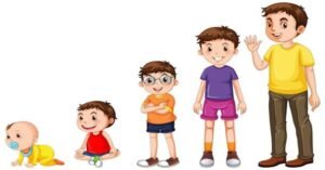 ما هي مراحل نمو الطفل