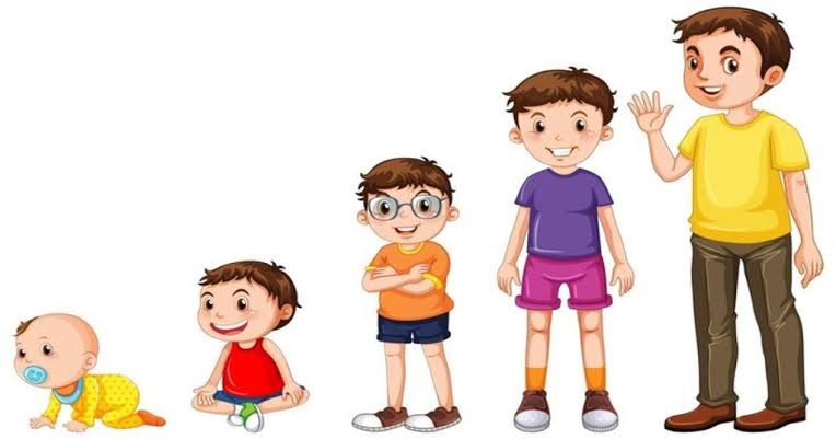 ما هي مراحل نمو الطفل